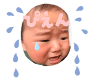 845771943