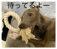 845772285