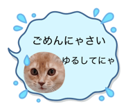 845772371