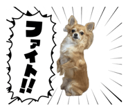 845772448