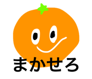 845772516