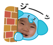 845772540
