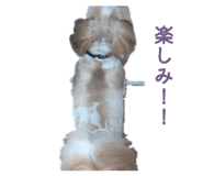 845772807