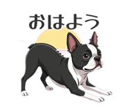 845773224