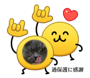 845773394