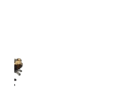 845773677