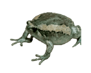 845773678
