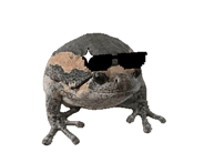 845773679