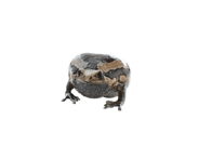845773680