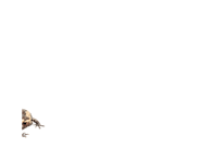 845773683