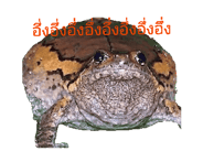 845773685