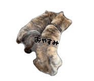 845773845