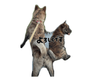 845773860