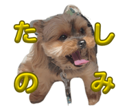 845773977
