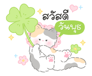 Blooming cat (work) รูปที่ 3