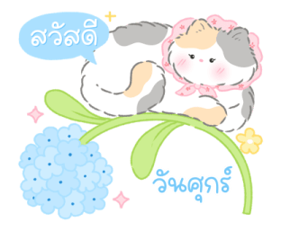 Blooming cat (work) รูปที่ 5