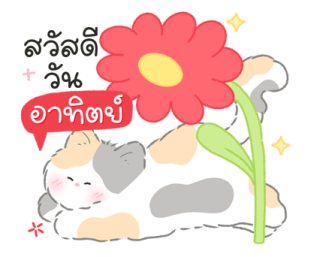 Blooming cat (work) รูปที่ 7
