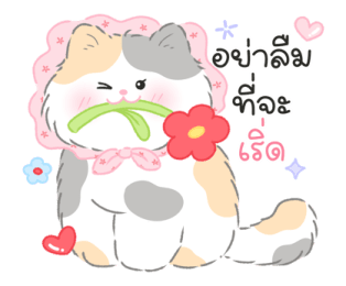 Blooming cat (work) รูปที่ 10