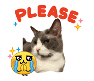845774570