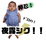 845775371