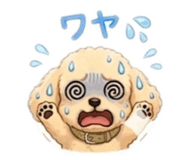 845775420