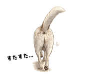 845775596