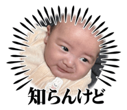845775706