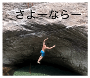 845776447