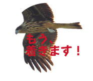 845785068