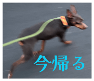 845785380