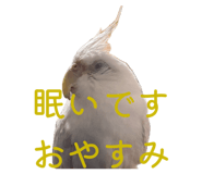 845785467
