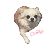 845785676