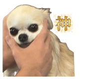845785677