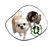 845785682