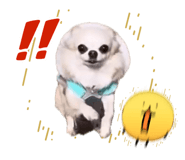 845785684