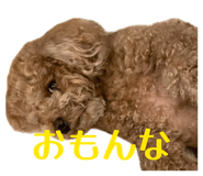 845785739