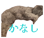 845785749