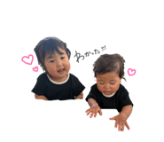 845786009