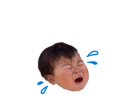 845786031