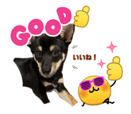 845786315