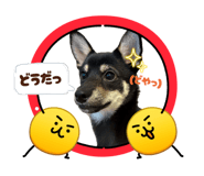 845786720