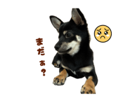 845786721