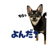 845786728