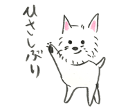 845786808