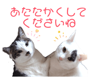 845787020