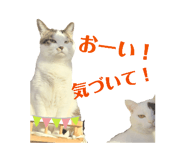 845787021