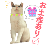 845787028