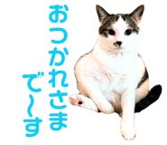 845787029