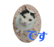 845787030