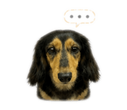 845795332